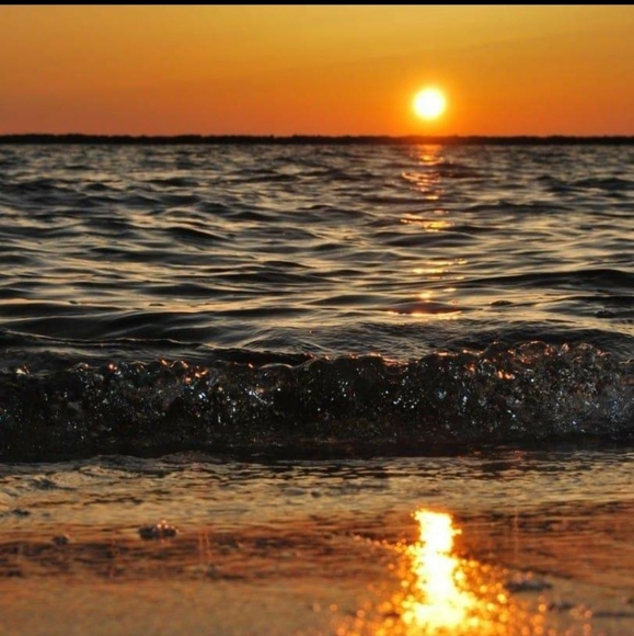 Meet your Posher - Picture 1 of 1